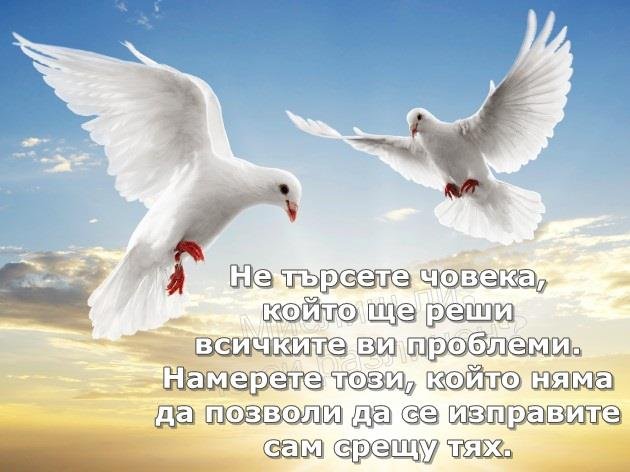 image-09C7_544DE8A9.jpg
